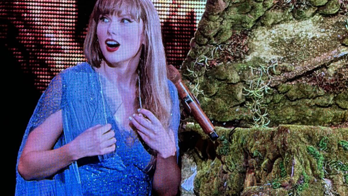 Mejores memes del concierto de Taylor Swift - Cultura