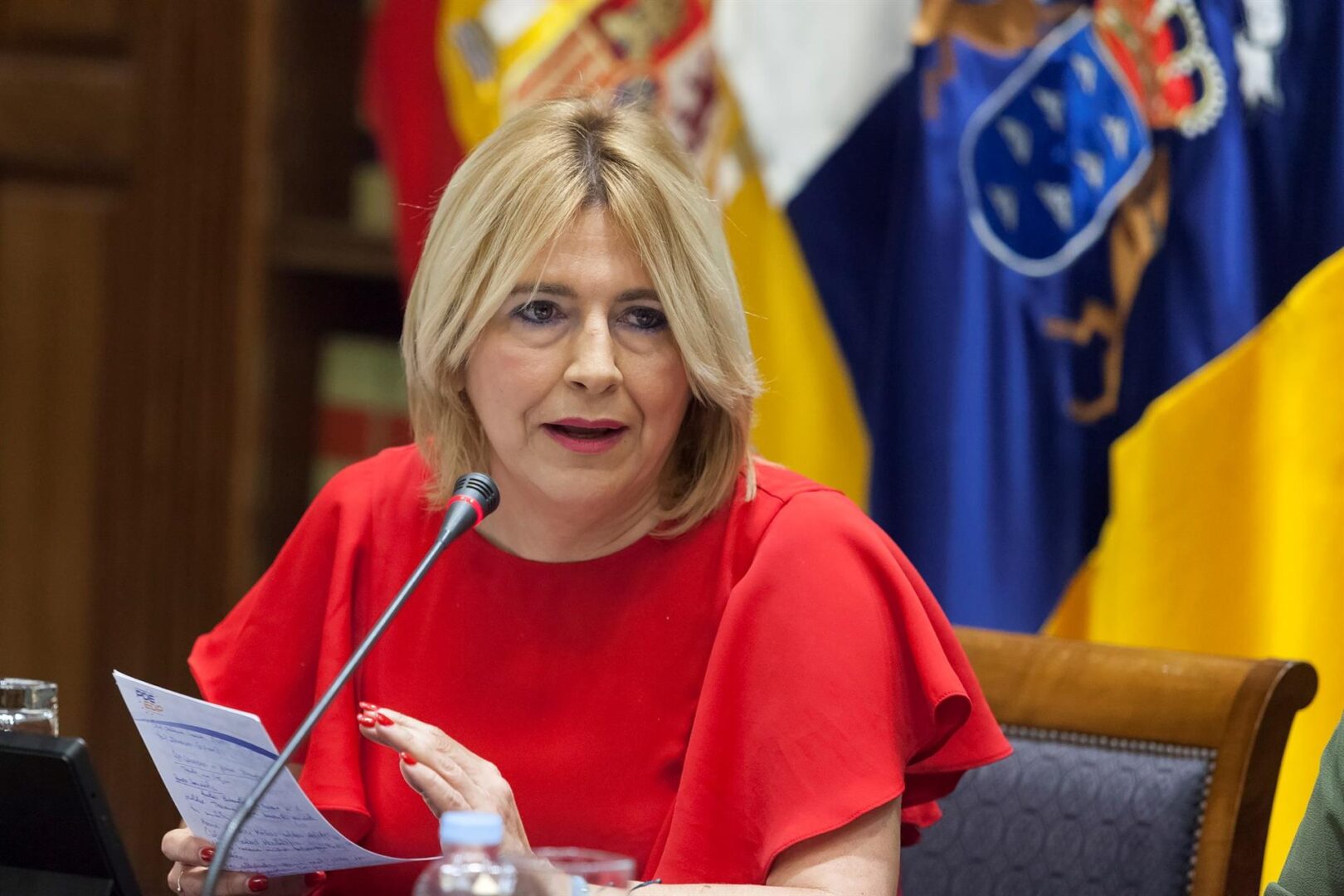 Reyes Martel, magistrada del Juzgado de Menores número 1 de Las Palmas de Gran Canaria.