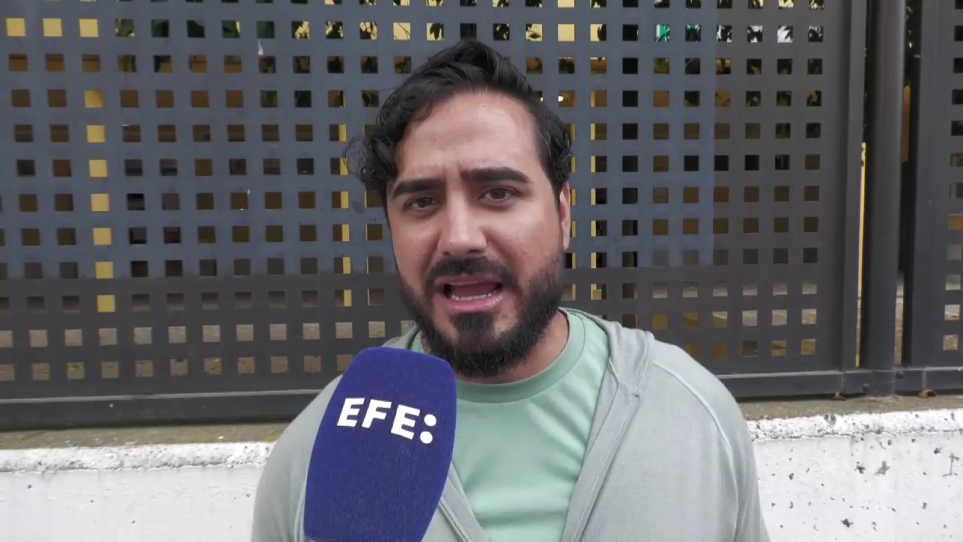 Alvise Pérez en EFE - Política