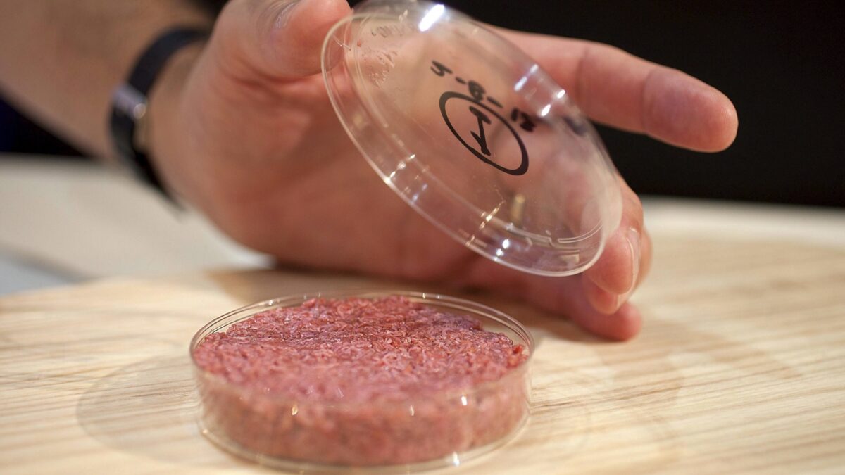 Carne cultivada en laboratorio - Sociedad