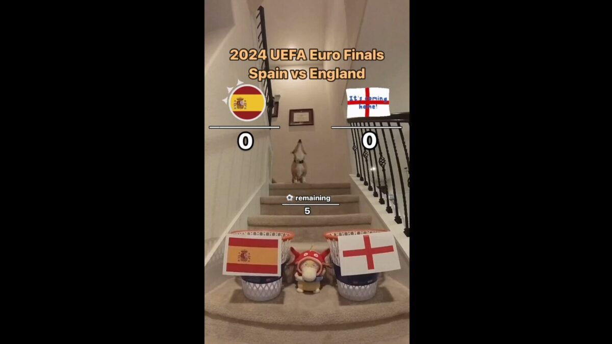 Perro en la final de la Eurocopa 2024 - Fútbol