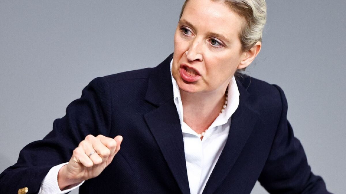 Alice Weidel - Internacional