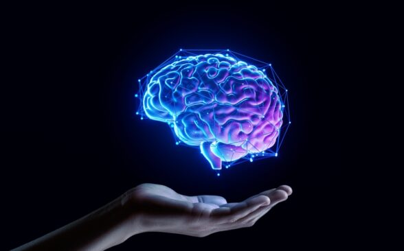 Una mano sosteniendo un cerebro.