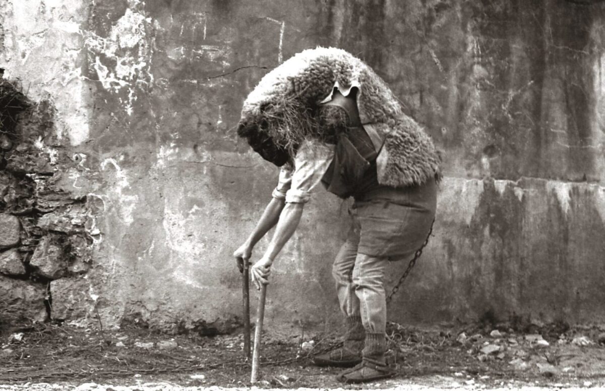 Carnaval de Bielsa - Sociedad