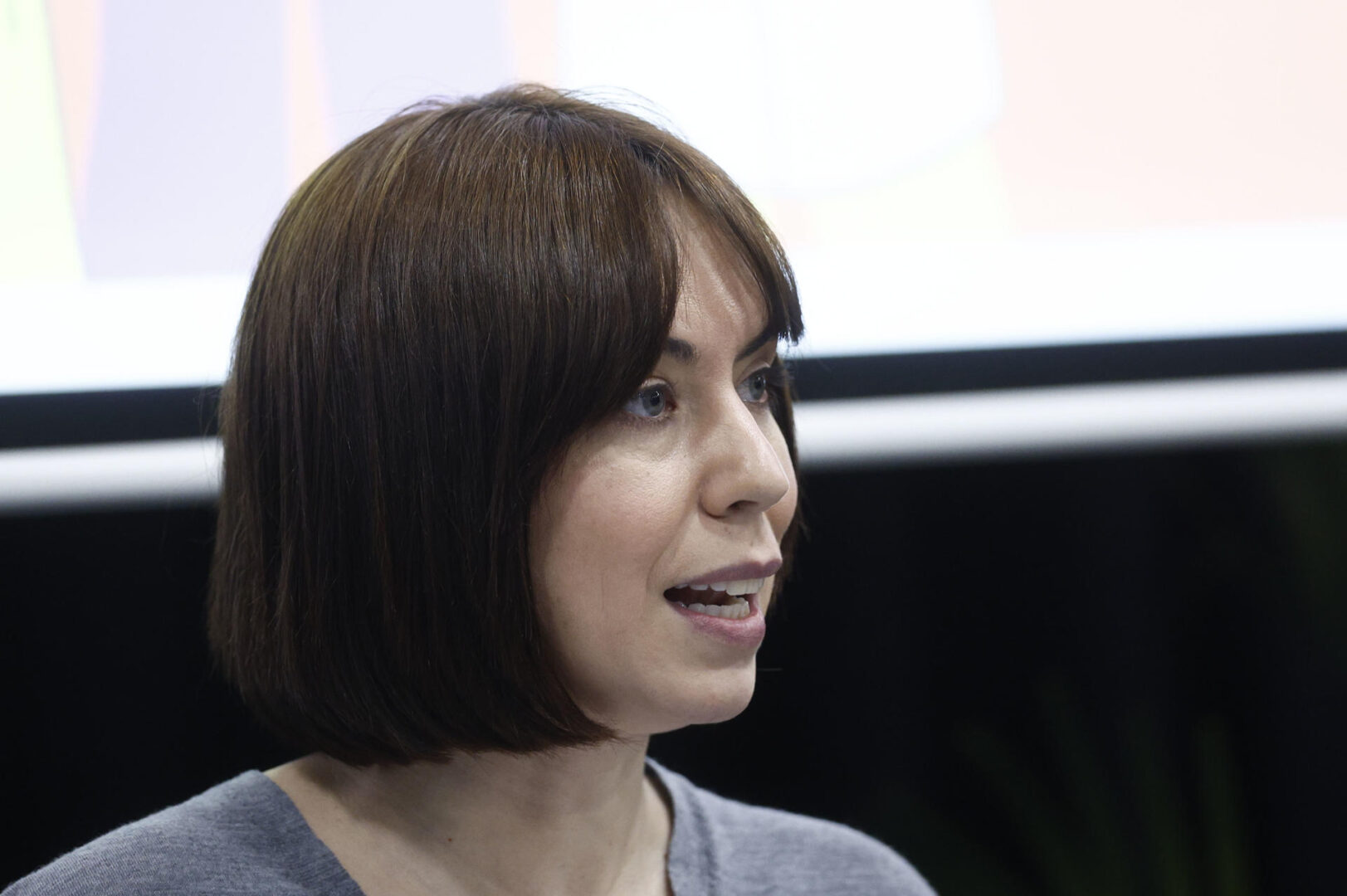La ministra de Ciencia y Universidades, Diana Morant, en el Senado