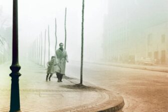 Libros muy divertidos - Cultura