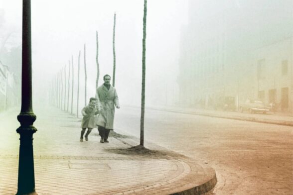 Libros muy divertidos - Cultura