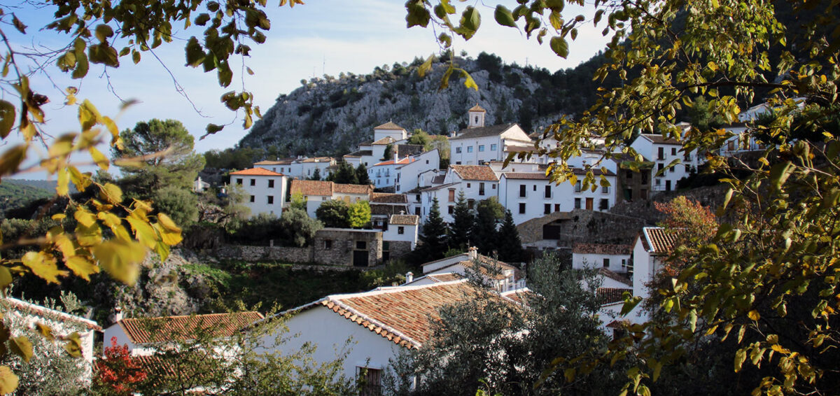 El refugio frente al calor en Cádiz, Grazalema