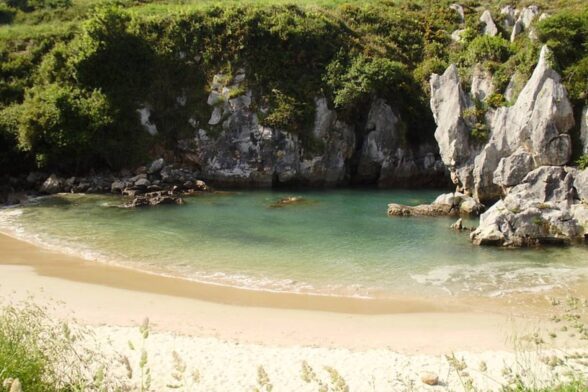 Playa de Gulpiyuri - Sociedad