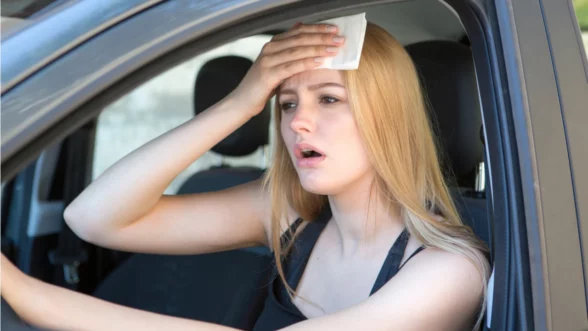 Mujer al volante