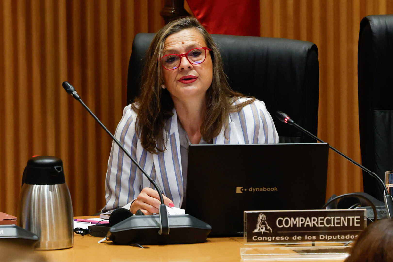 La delegada del Gobierno contra la Violencia de Género, Carmen Martínez Perza, en el Congreso