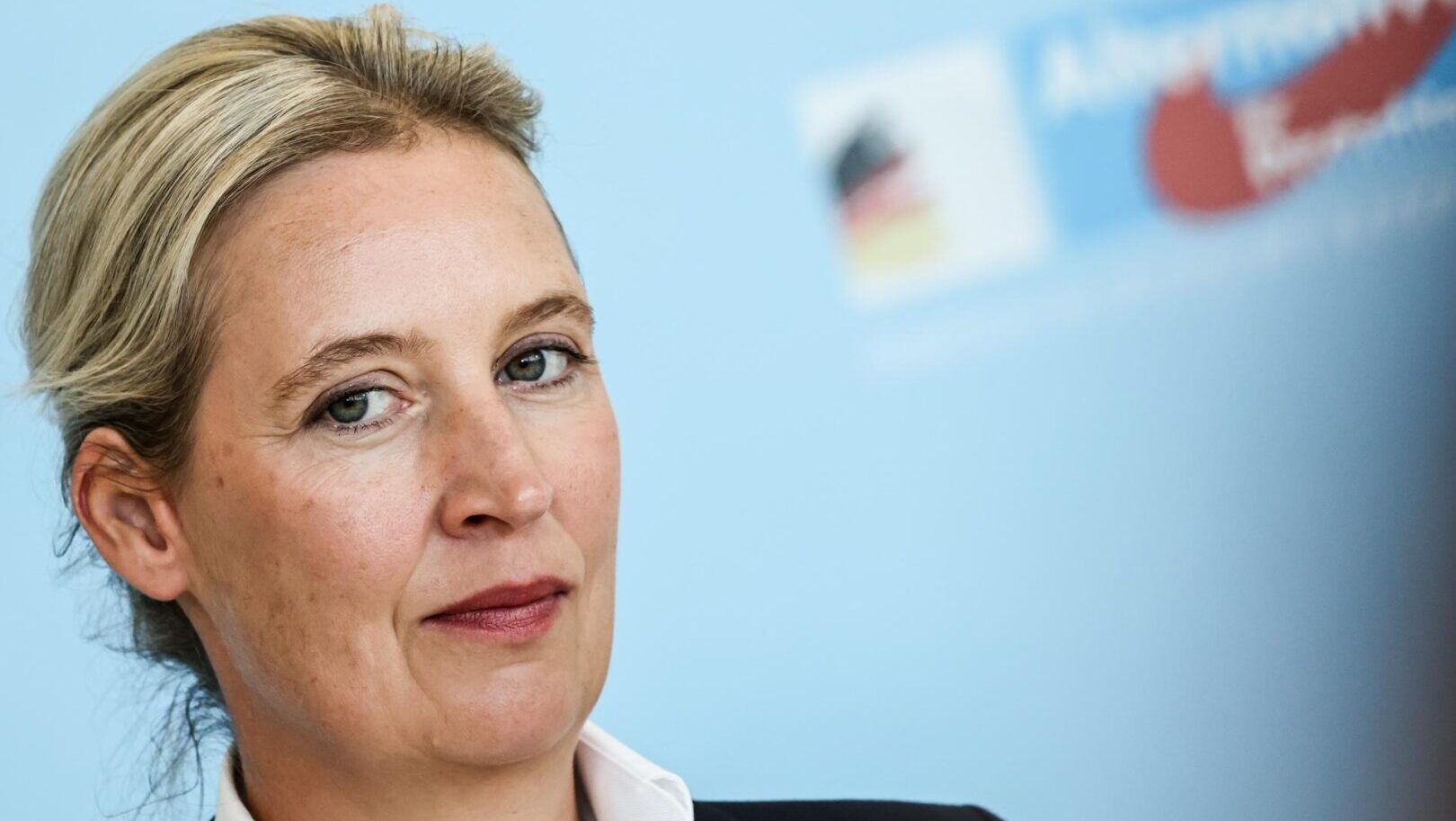 Las elecciones en Alemania confirman la muerte de la socialdemocracia Las elecciones en Alemania confirman la muerte de la socialdemocracia