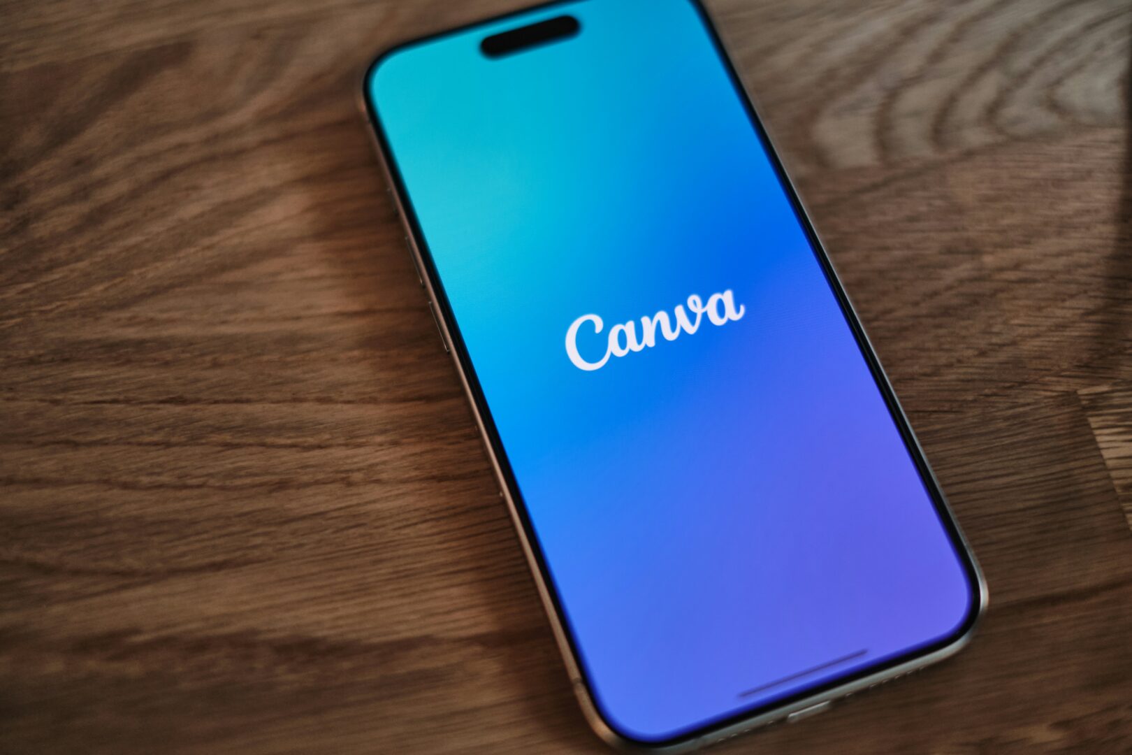 Canva - Sociedad