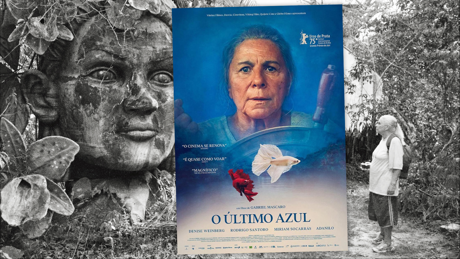 'El sendero azul': el apasionante viaje de una anciana entre el exilio y la libertad