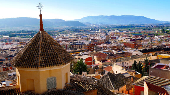 Mula (Murcia) - Sociedad