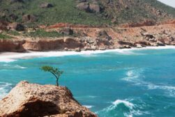 Socotra - Internacional