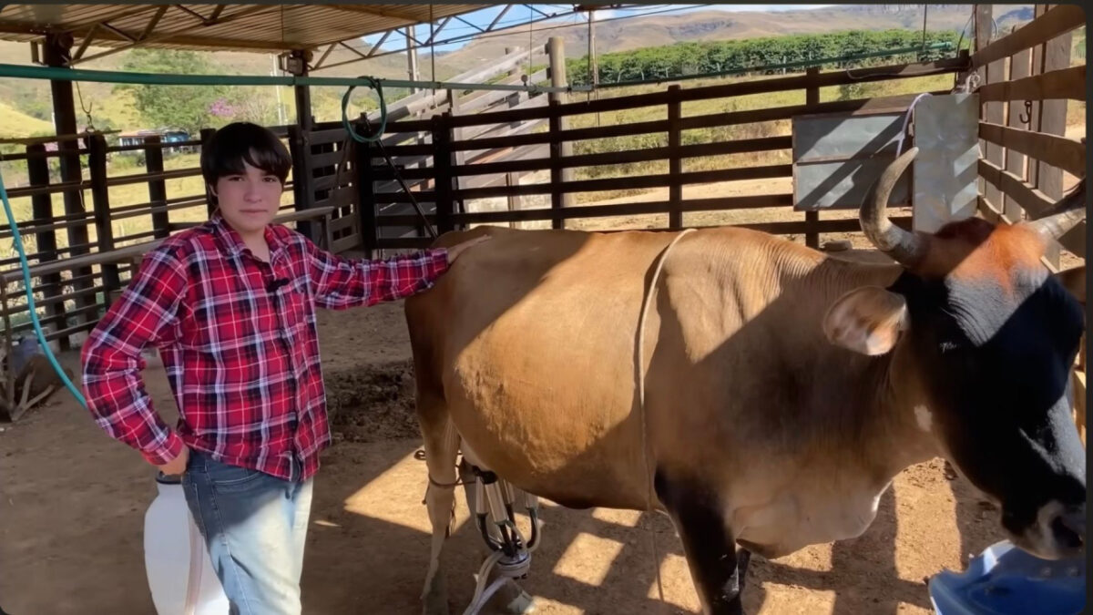 Joven de Serra da Canastra - Sociedad