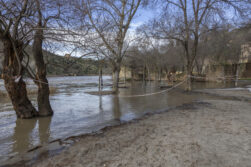 El río Tajo a su paso por Aragón