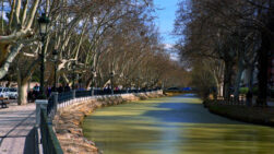 Canal Imperial de Aragón - Sociedad