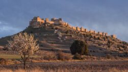 Castillo de Gormaz - Sociedad