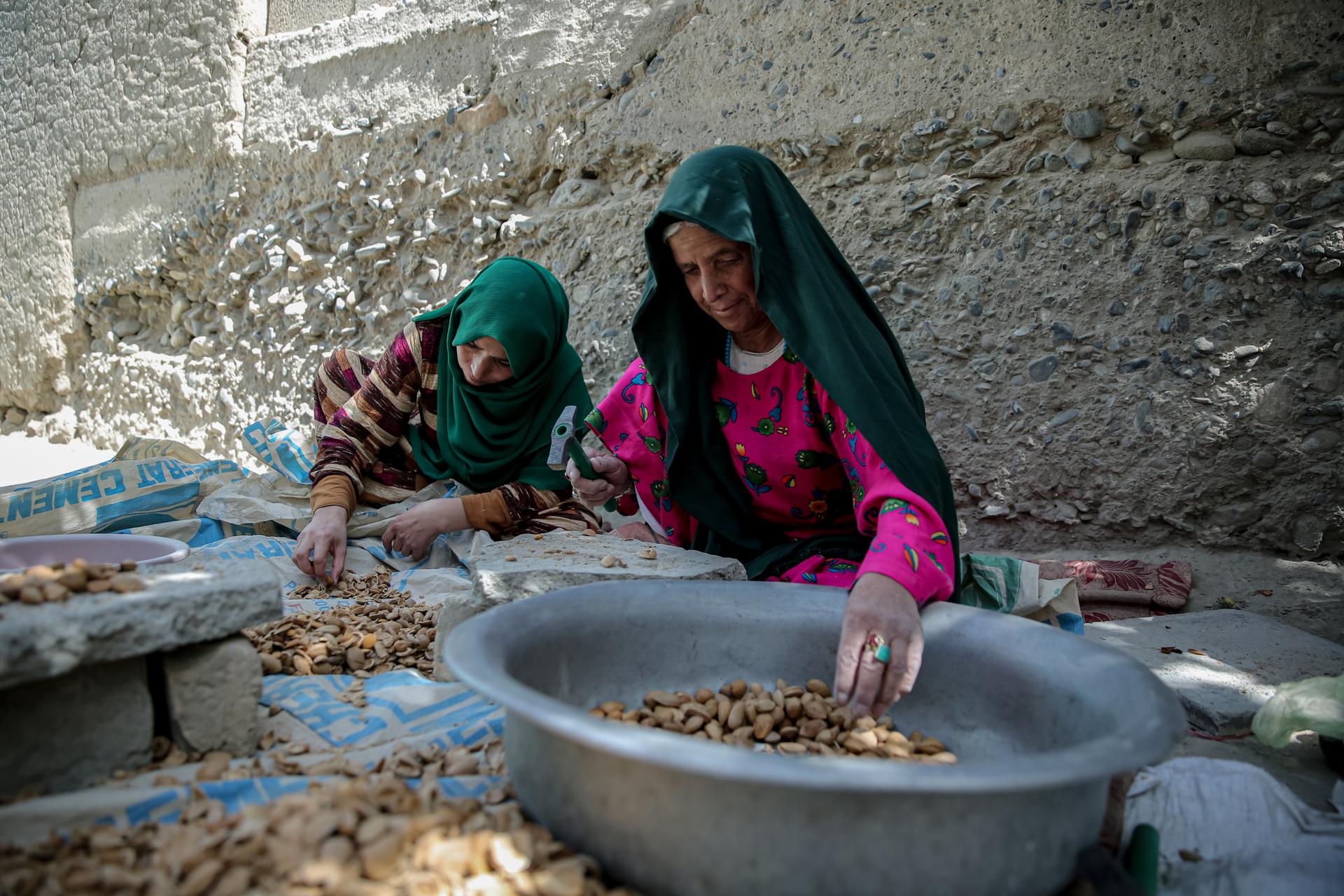 KABUL (Afghanistan), 23/05/2026.- Shirina, a neighbor of Mujahida, helps crack almonds at Mujahidas home in Kabul, Afghanistan, 21 May 2026 (issued 22 May 2026). Mujahida, a 47-year-old Afghan widow and mother of three whose husband was killed in an explosion in Ghazni four years ago, earns a small income by collecting and selling almond shells used by poor families as fuel for heating and cooking. When I lost my husband, my world went dark, she said. (Afganistán) EFE/EPA/SAMIULLAH POPAL