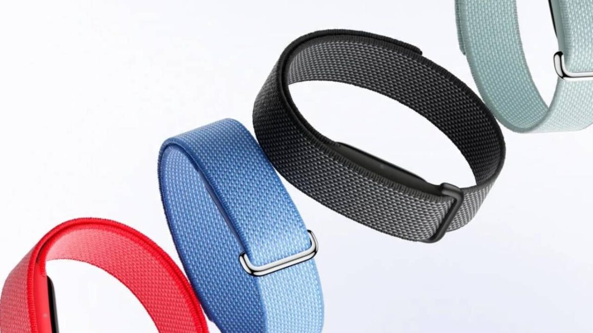 Google Fitbit Air - Sociedad