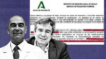 El psiquiatra Julio Guija Villa y el juez David Maman han defendido las tesis del falso SAP en declaraciones públicas