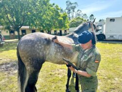 La capitán veterinaria de la Guardia Real, María