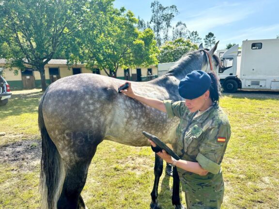 La capitán veterinaria de la Guardia Real, María