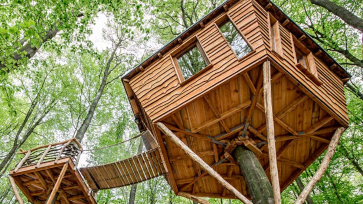 El espectacular plan de dormir en una casa árbol.