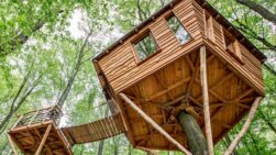 El espectacular plan de dormir en una casa árbol.