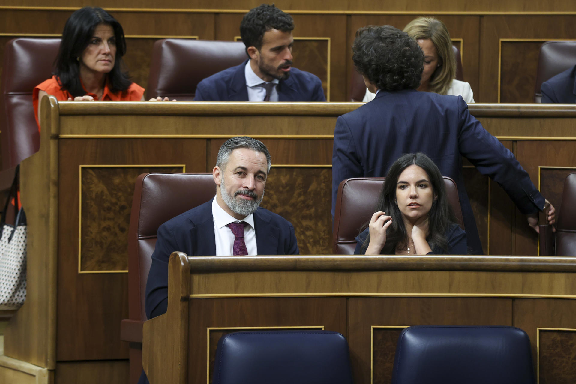 MADRID, 16/06/2026.- El líder de Vox, Santiago Abascal y la portavoz, Pepa Millán, durante el pleno del Congreso de los Diputados celebrado este martes, en Madrid. EFE/ Víctor Lerena