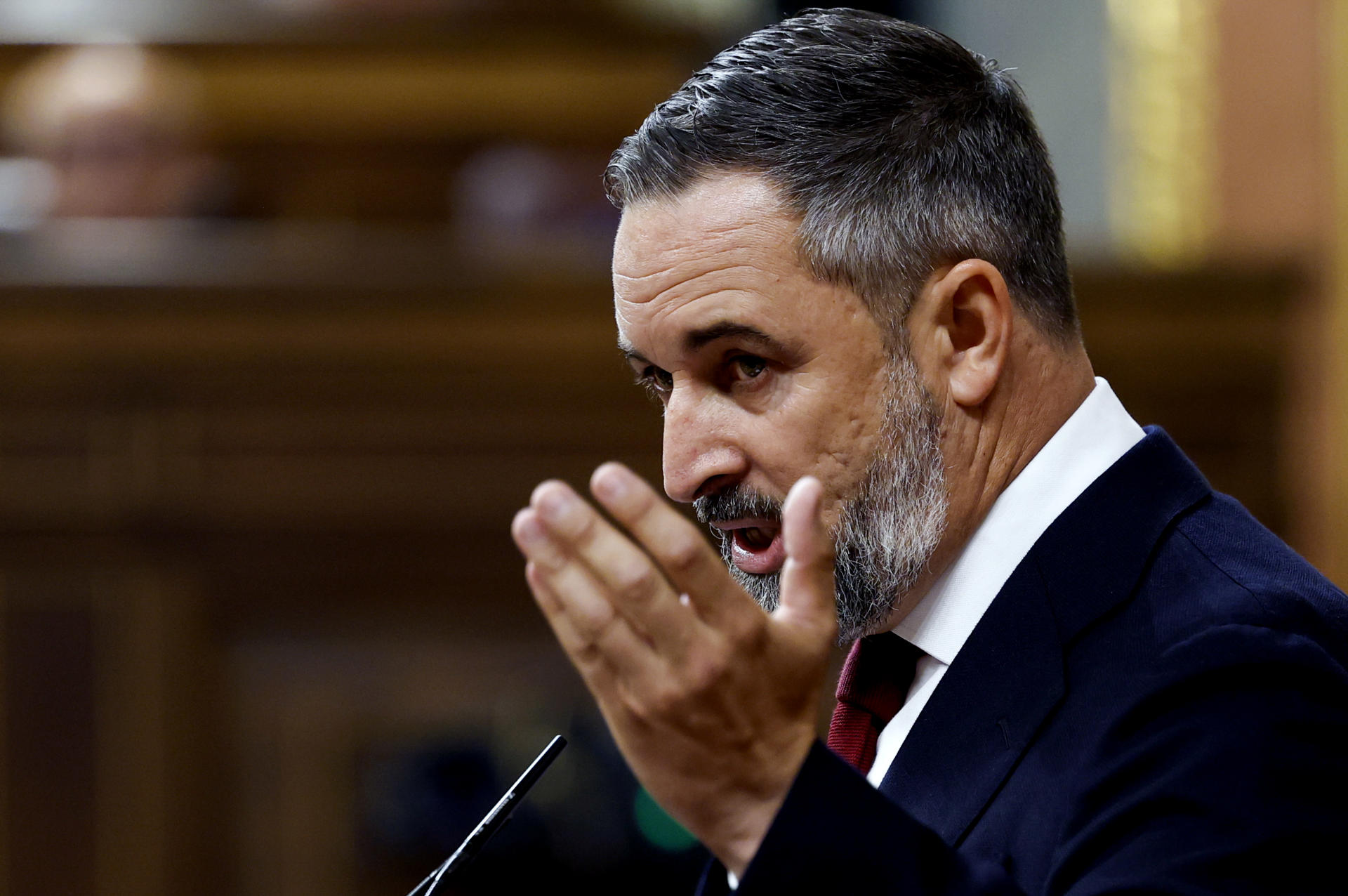 MADRID, 24/06/2026.- El líder de Vox, Santiago Abascal durante su intervención en la sesión de control al Gobierno celebrada este miércoles en el Congreso de los Diputados en Madrid. EFE/Chema Moya