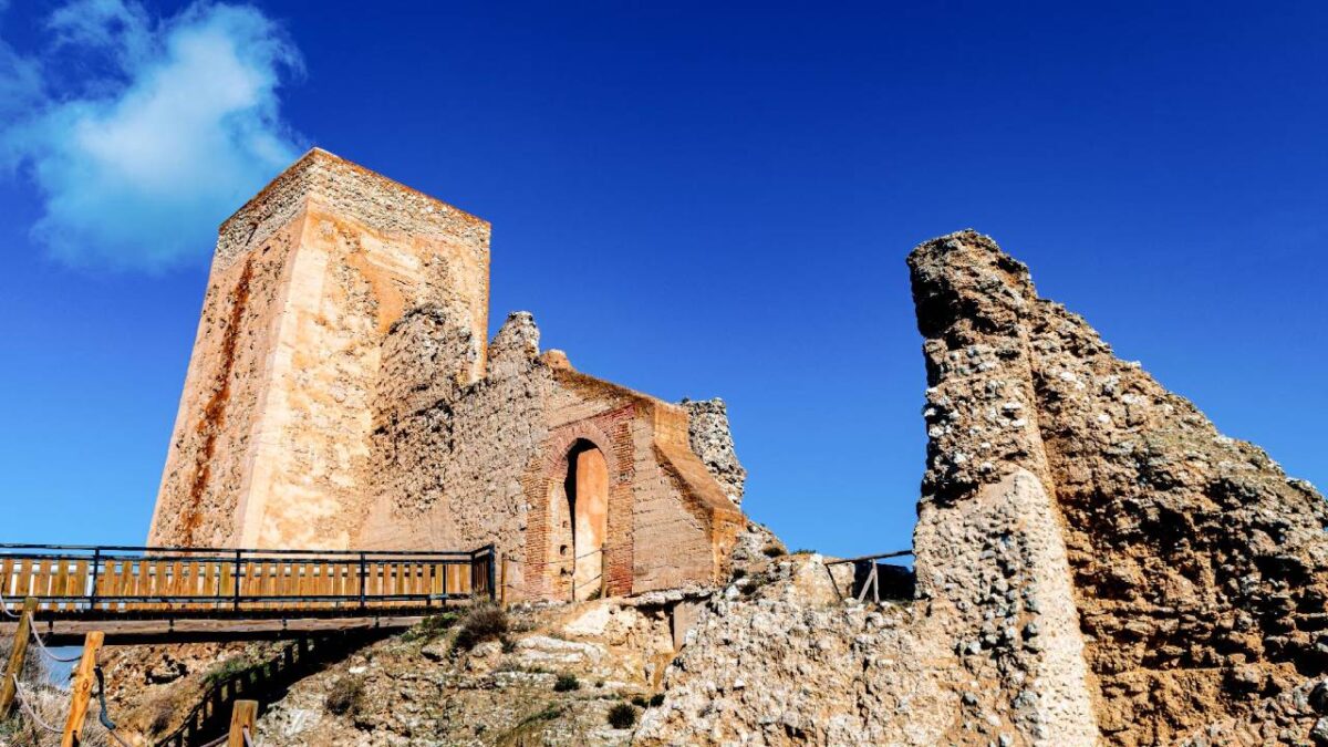 Castillo de Alfajarín - Sociedad