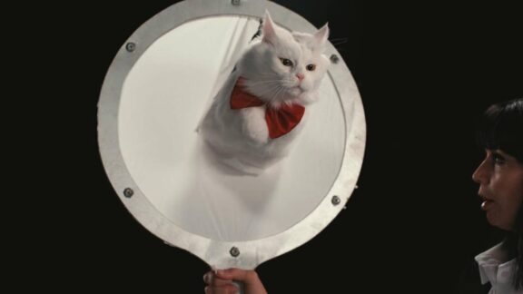 En la mente de un gato - Cultura