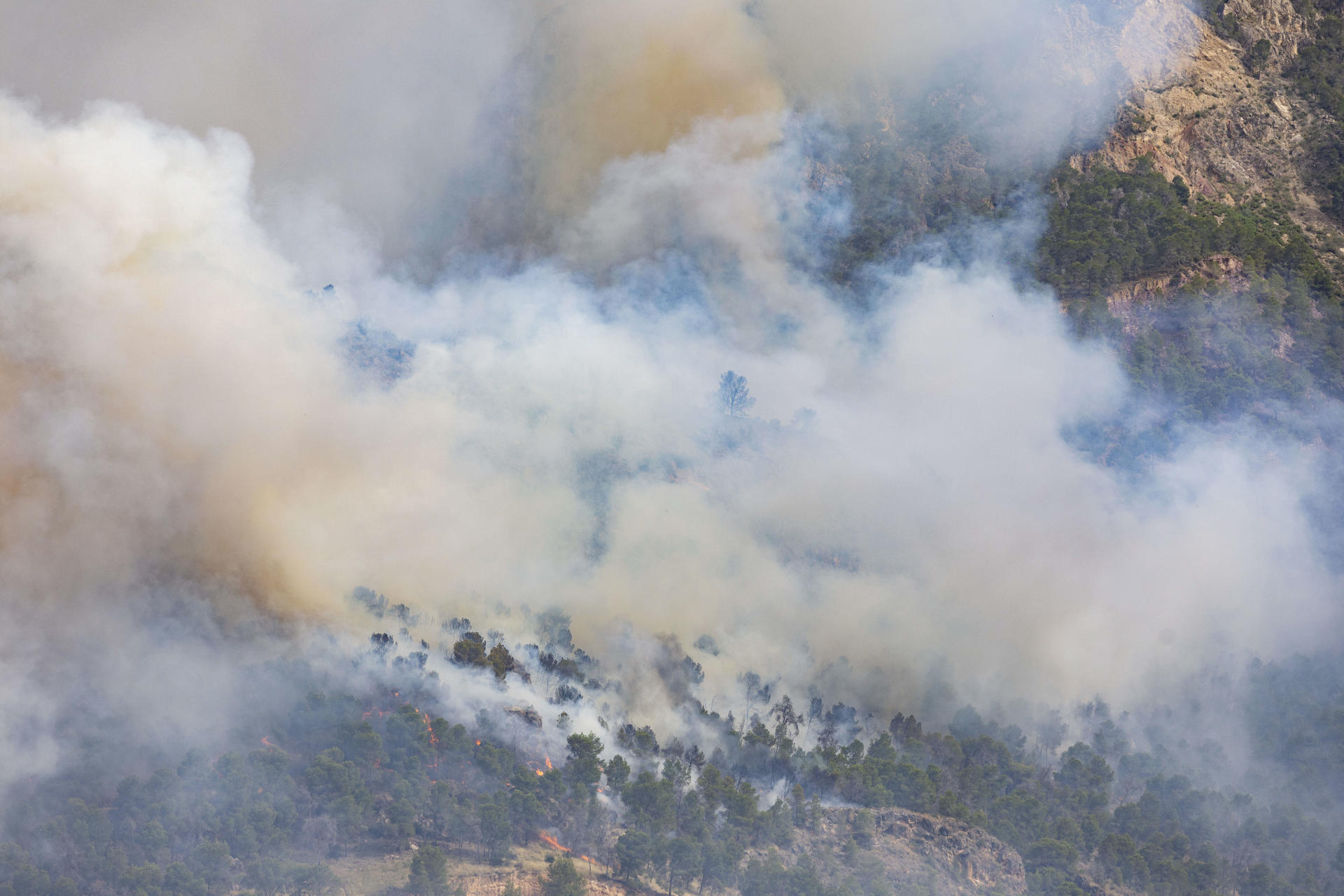 LOS GARRES, (MURCIA), 02/06/2026.- Tres hidroaviones, otros tantos helicópteros con cargas de agua y otro de coordinación junto a otra aeronave para esta última tarea han sido enviados a la extinción del incendio forestal declarado sobre las 15.10 horas de este martes en el incendio localizado en la pedanía de Garres y Lages en el parque regional murciano de El Valle-Carrascoy en una zona de pinar y arbustos, informan los Gobiernos de España y Murcia.- EFE/ Marcial Guillén
