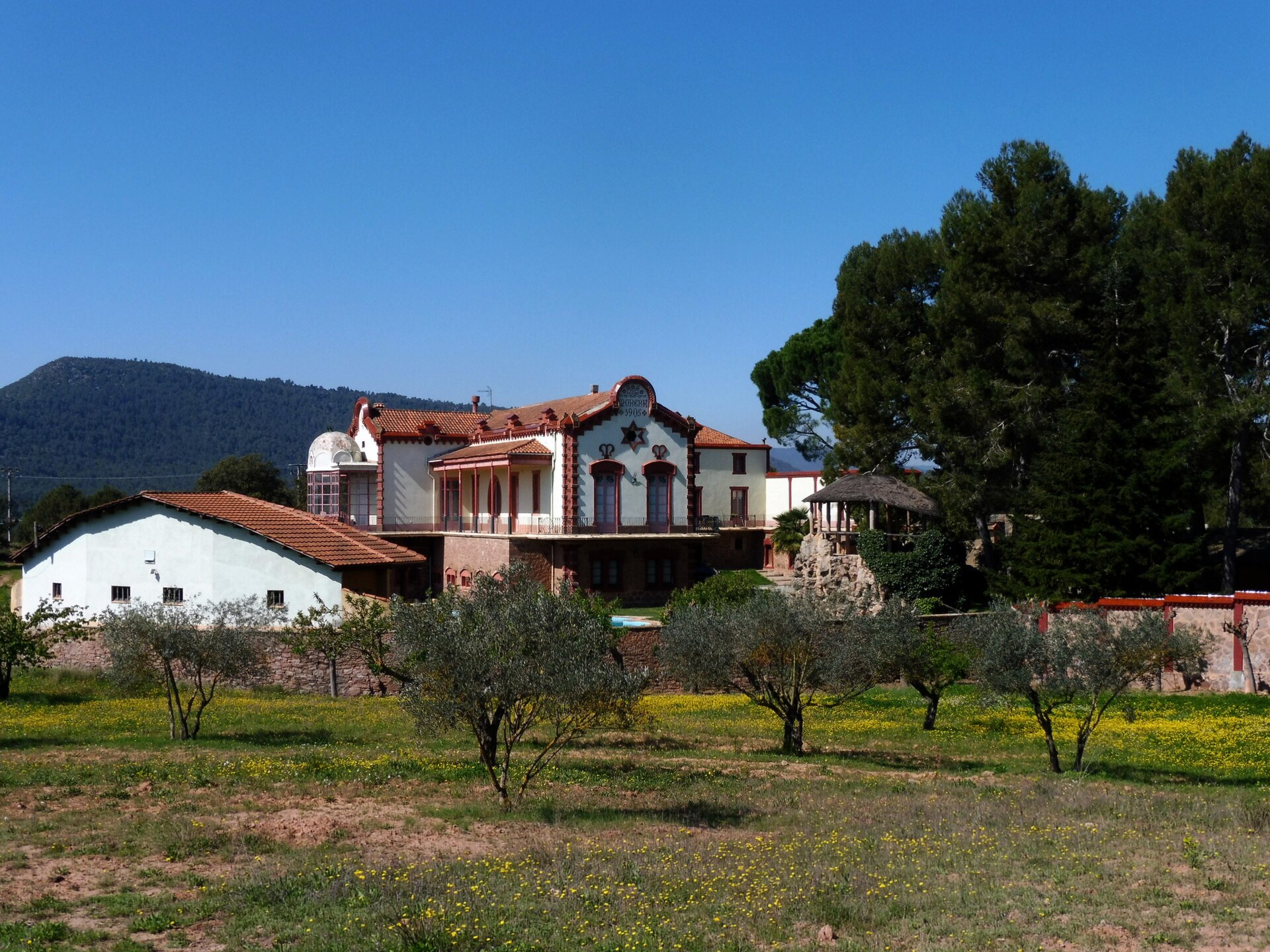 Mas Morera - Sociedad Mas Morera - Sociedad