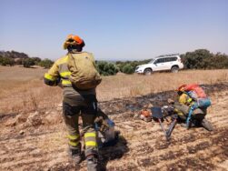 Operativos de Infoar en el incendio