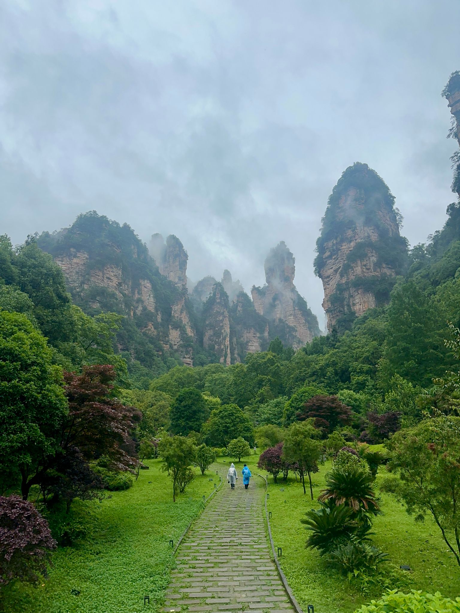 Parque Nacional de Zhangjiajie - Consejos para viajar a China Parque Nacional de Zhangjiajie - Consejos para viajar a China