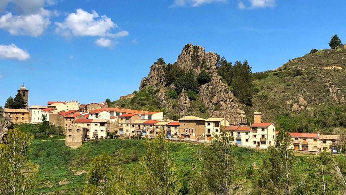 Petilla de Aragón - Sociedad