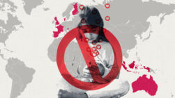 Prohibición