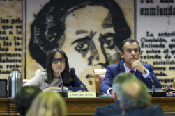La directora general de la Guardia Civil, Mercedes González, en el Senado