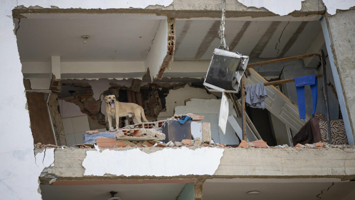 CATIA LA MAR, 26/06/2026.- Detalle de un edificio derruido en Catia la Mar, Venezuela, mientras continúa la búsqueda entre los escombros de los edificios, este viernes. Recostados en colchones, sábanas, sillas, carpas y campamentos improvisados, cientos de personas duermen en el asfalto, jardineras, plazas y canchas en Catia La Mar, una de las ciudades más afectadas por los terremotos de magnitud 7,2 y 7,5 ocurridos el miércoles en Venezuela y que se han cobrado la vida de 235 personas. EFE/ Ronald Peña R