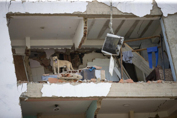 CATIA LA MAR, 26/06/2026.- Detalle de un edificio derruido en Catia la Mar, Venezuela, mientras continúa la búsqueda entre los escombros de los edificios, este viernes. Recostados en colchones, sábanas, sillas, carpas y campamentos improvisados, cientos de personas duermen en el asfalto, jardineras, plazas y canchas en Catia La Mar, una de las ciudades más afectadas por los terremotos de magnitud 7,2 y 7,5 ocurridos el miércoles en Venezuela y que se han cobrado la vida de 235 personas. EFE/ Ronald Peña R