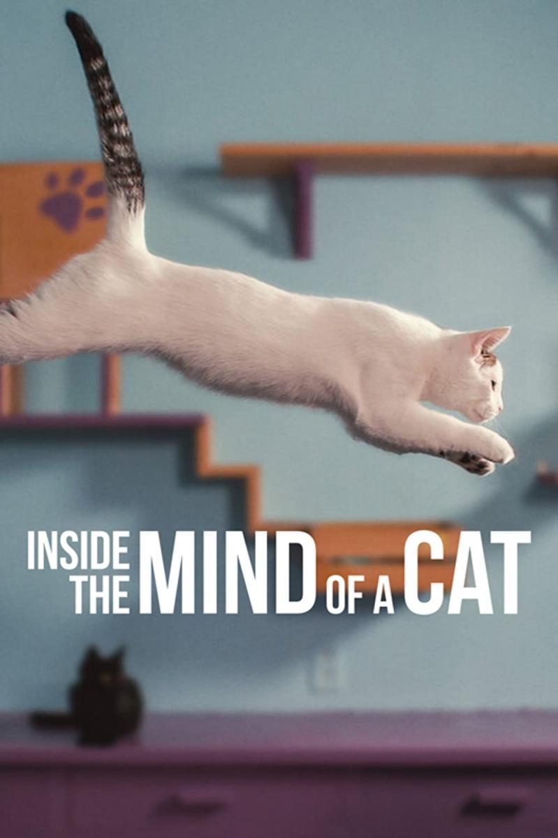 Póster de En la mente de un gato - Cultura