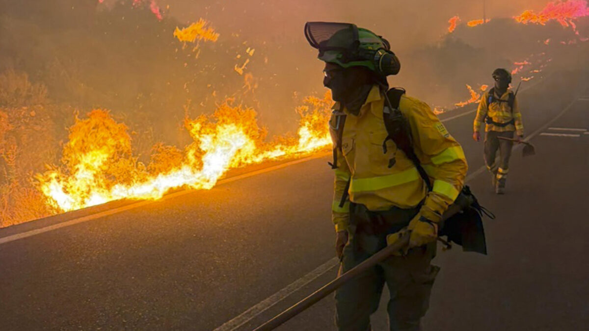 LOS GALLARDOS (ALMERÍA), 09/07/2026.- Bomberos trabajan en el incendio en el que seis personas han muerto en el municipio almeriense de Los Gallardos, en concreto en una pedanía del municipio vecino de Bédar, habiendo sido halladas algunas de las víctimas en el interior de vehículos que fueron alcanzados por las llamas. EFE/Emergencias Andalucía SÓLO USO EDITORIAL, PERMITIDO SU USO SÓLO EN RELACIÓN A LA INFORMACIÓN QUE APARECE EN EL PIE DE FOTO (CRÉDITO OBLIGATORIO)