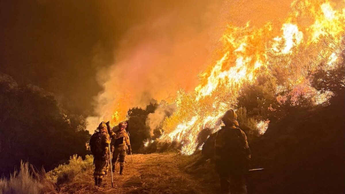 Brigadas de Refuerzo en Incendios Forestales (BRIF) del Ministerio de Transición Ecológica.