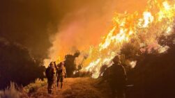 Brigadas de Refuerzo en Incendios Forestales (BRIF) del Ministerio de Transición Ecológica.