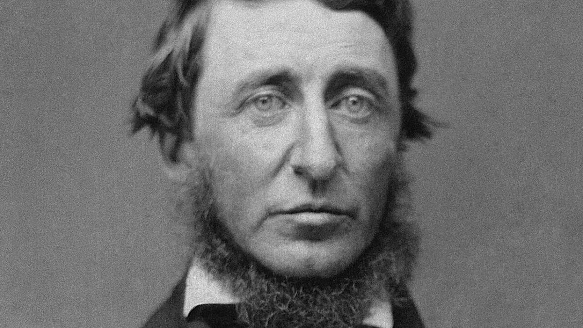 Henry David Thoreau - Cultura