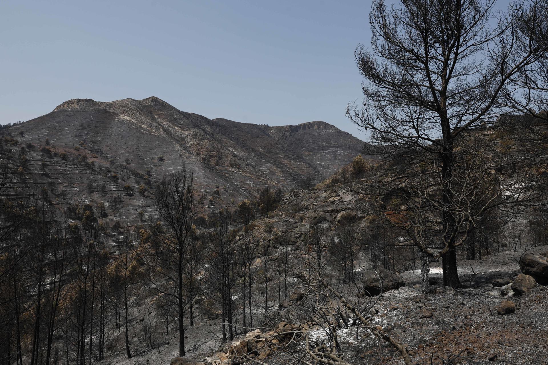 VALL D'UIXÓ (CASTELLÓN), 29/07/2026.- Vista general de la zona quemada en La Vall d'Uixó (Castellón) durante la quinta jornada de lucha contra el fuego, que desde el pasado sábado sufre un incendio forestal que sigue sin control y ha quemado 9.300 hectáreas en 81 kilómetros. EFE/Kai Försterling